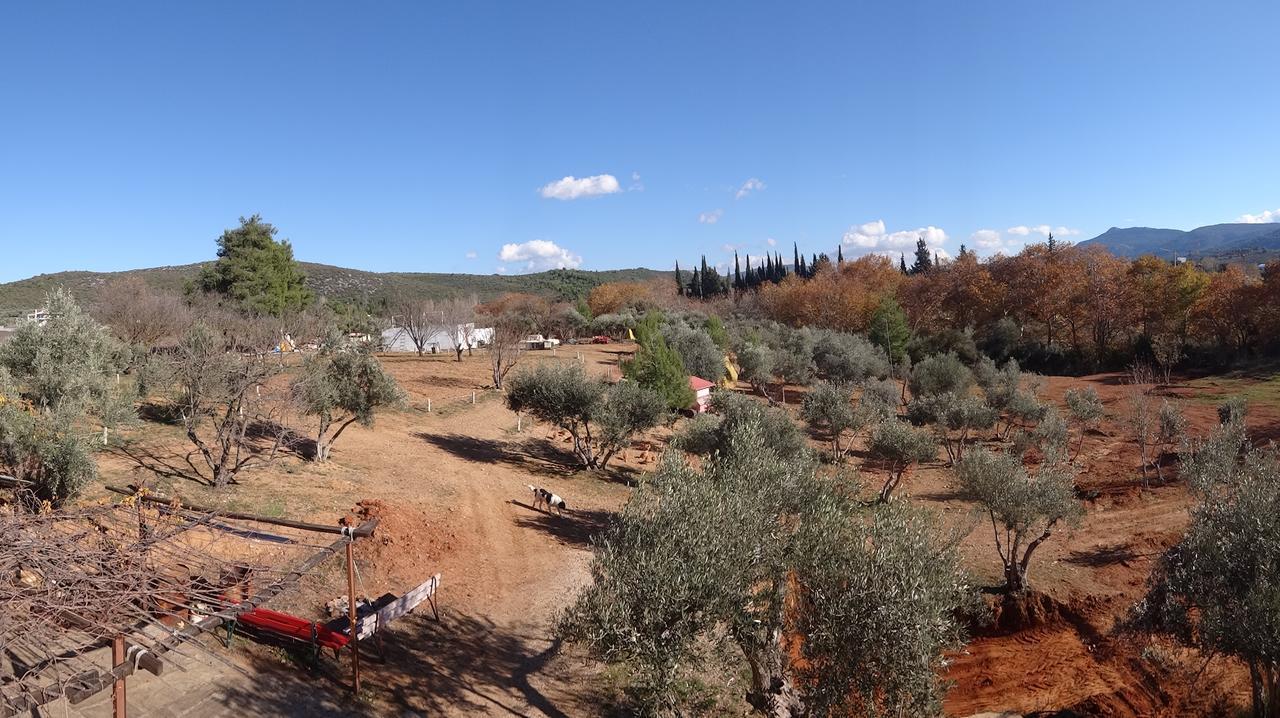 Вилла Relax In 'Crazy Farm' Asprokhorion Экстерьер фото